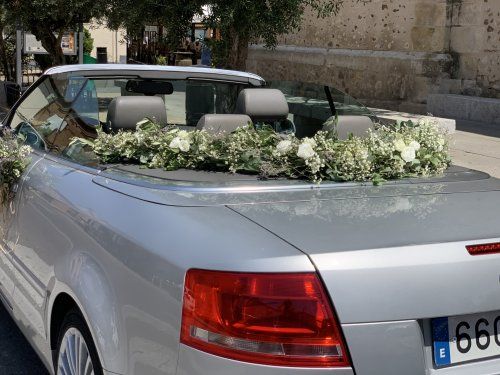 DECORACIÓN DE COCHE 3